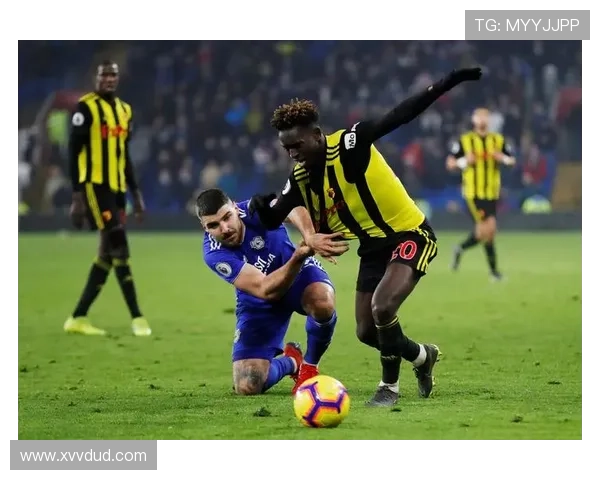 围绕沃特福德俱乐部探讨其历史传承与未来竞技与商业发展蓝图全景