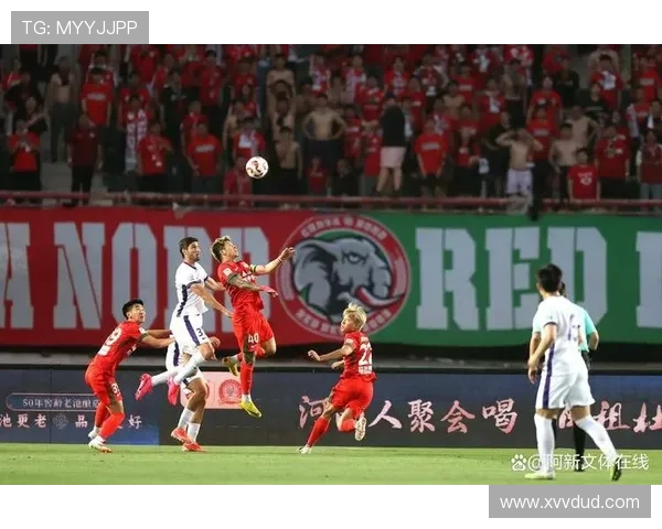 国家队备战新赛季焦点赛事球员状态引发球迷热议教练组调整战术布局